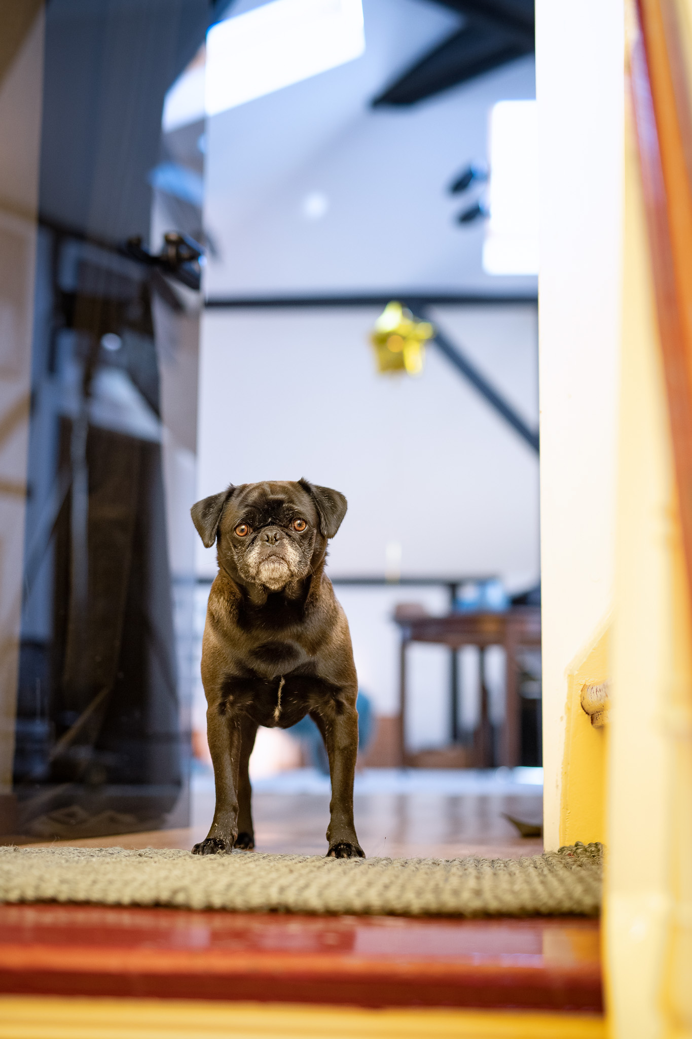 Ich bin weiterhin für Dich da!